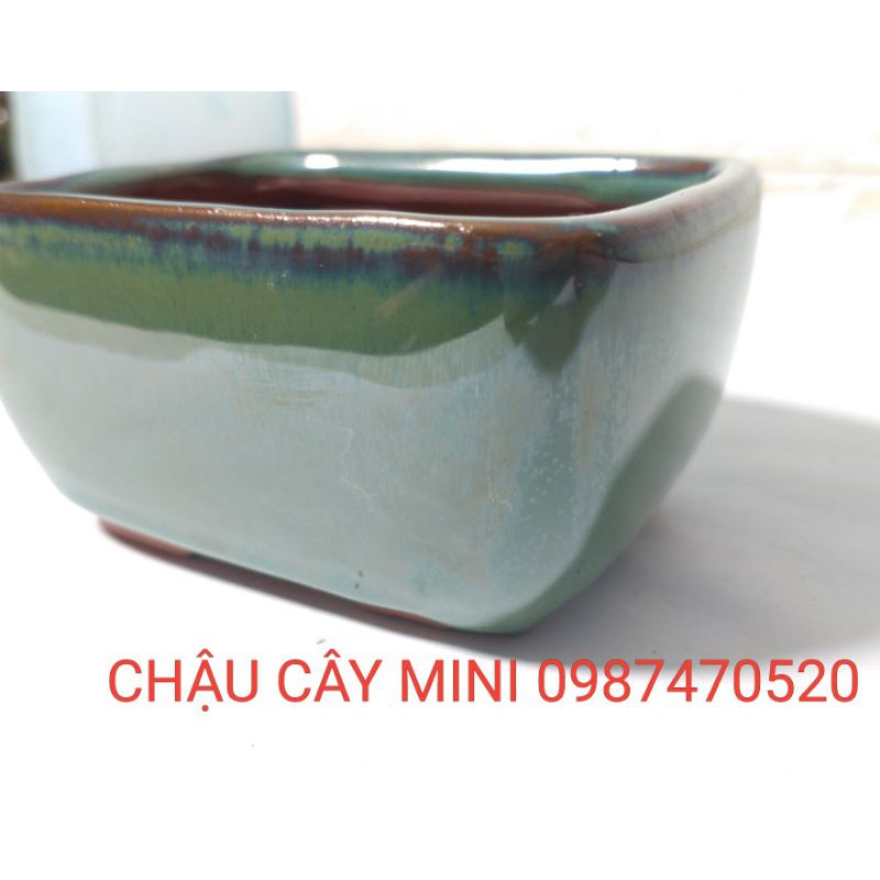 ChChậu chữ nhật  mini, chậu bonsai, sen, đá  mini