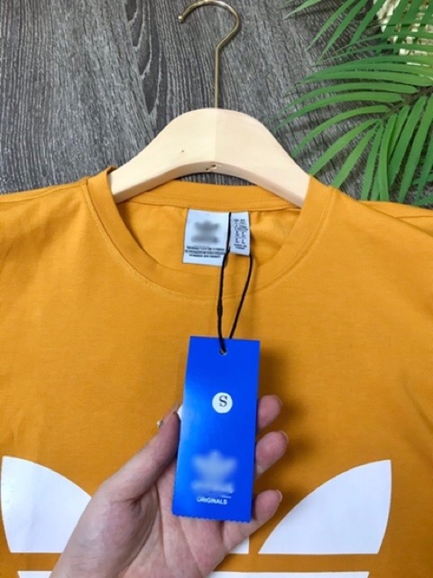 Bộ đùi áo phông cotton quần sooc umi năng động (hàng chuẩn VNXK tới từng cm)