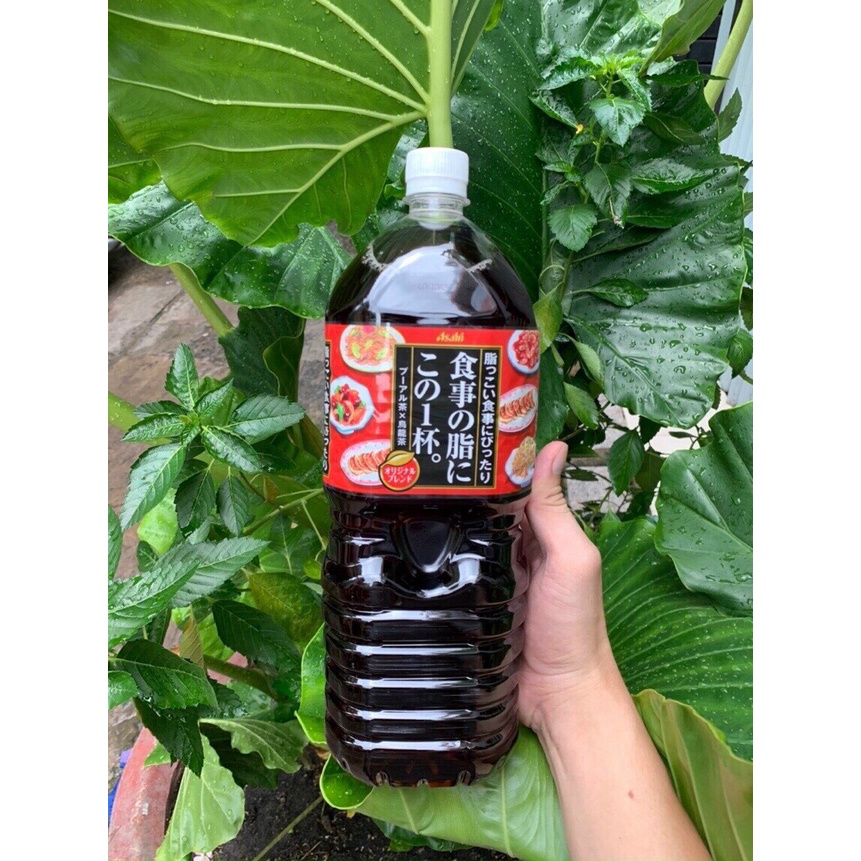 ASAHI- Trà Ô long giảm mỡ - Bình 2L