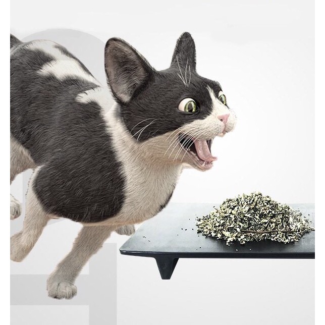 ỐNG CỎ CHO MÈO Bioline Catnip Ống 45ml Giúp Mèo thư giãn sảng khoái