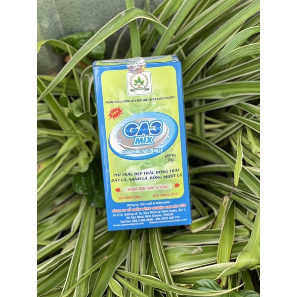 GA3 Mix-Phân bón lá giúp phì trái, bóng đẹp