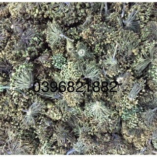 HOA TAM THẤT BẮC SA PA loại 1 500g