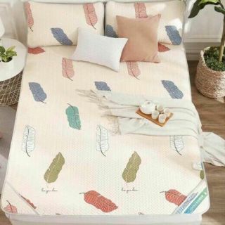 Chiếu Tencel hàng loại 1.