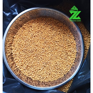 Phân tan chậm hạt vàng mỹ 14-14-14 gói 100g