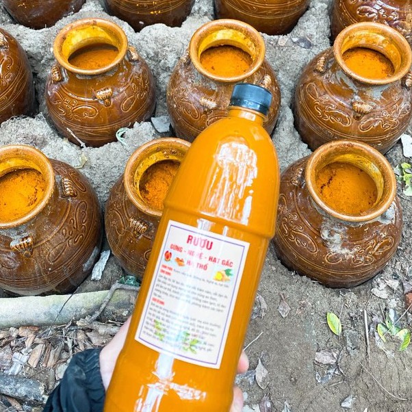 Cốt nghệ gừng hạt gấc hạ thổ 500ml(body)