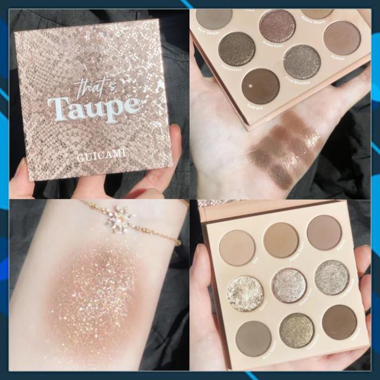Bảng Phấn Mắt 9 Ô Guicami That's Taupe