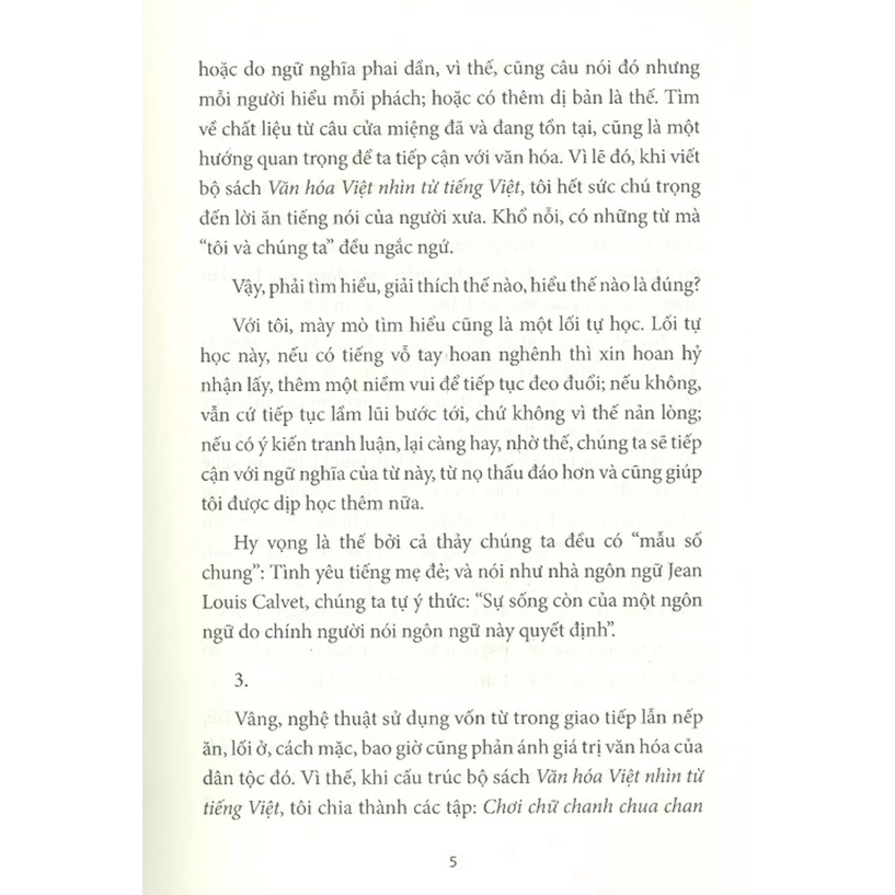 Sách Văn Hóa Việt Nhìn Từ Tiếng Việt - Chơi Chữ, Chanh Chua, Chan Chát Chữ