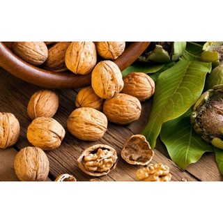 HẠT ÓC CHÓ VÀNG (NHẬP KHẨU MỸ)