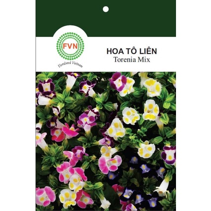 HẠT GIỐNG HOA TÔ LIÊN / HOA MẮT NAI NHIỀU MÀU FVN GÓI 5 HẠT - TORENIA MIX