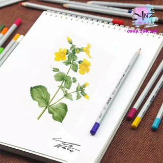 Bộ 12 chì màu MARCO RAFFINE