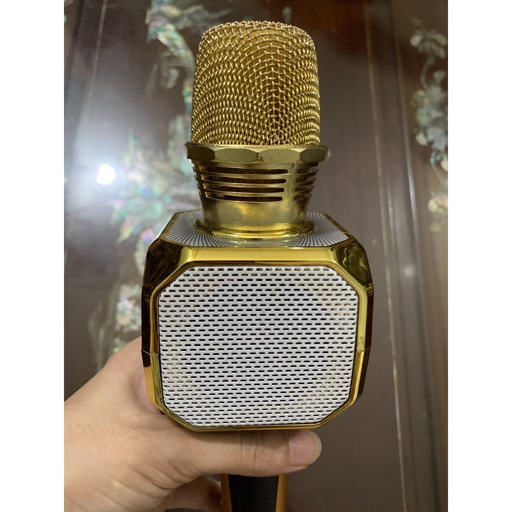 Micro Karaoke Kiêm Loa Bluetooth Sd10 Chính Hãng