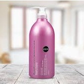 Dầu Xả Phục Hồi Tóc Salon Link Extra Conditioner Dành Cho Tóc Hư Tổn (Chai 1000ml)