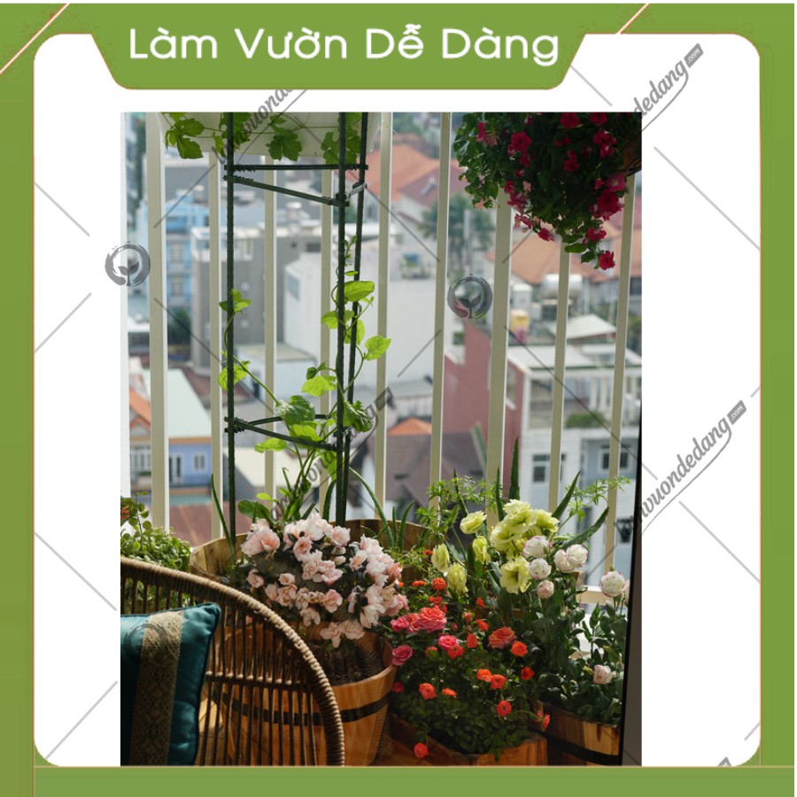 Ống Thép Bọc Nhựa - Dùng làm Khung Đỡ, Giá Đỡ Hoa Hồng Leo, Giàn Leo Bầu Bí Mướp, Khung cây thép