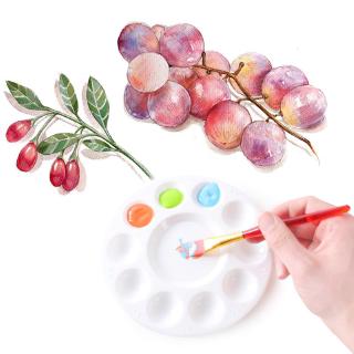 Khay pha màu nước hình tròn bằng nhựa tiện lợi