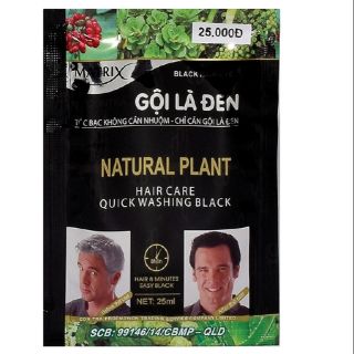 GỘI LÀ ĐEN MATRIX gói 25 ml