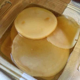 Nấm thuỷ sâm kombucha
