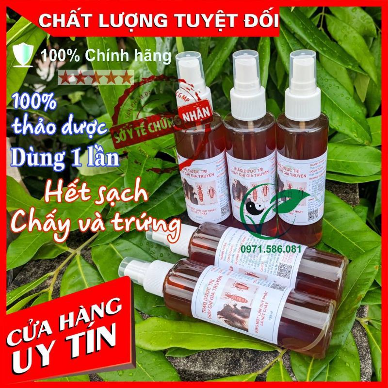 Ủ Chấy Chí Gia Truyền. Hàng công ty. Dầu Gội Diệt Chấy Chí | BigBuy360 - bigbuy360.vn
