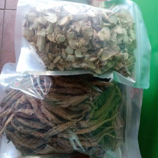 Sâm dây Ngọc Linh size to