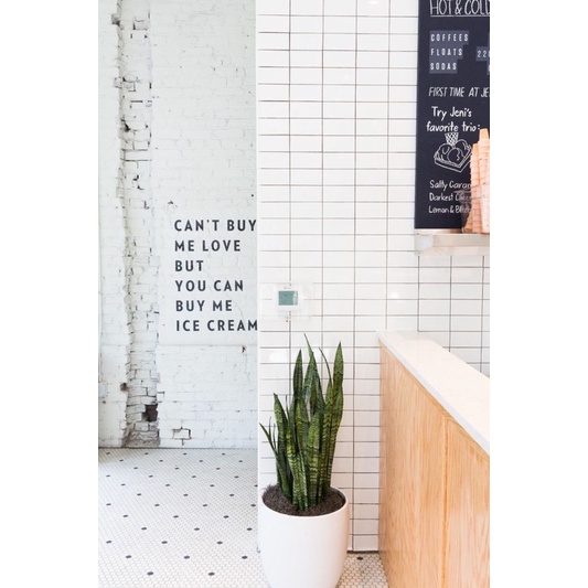 Cây lưỡi hổ xanh