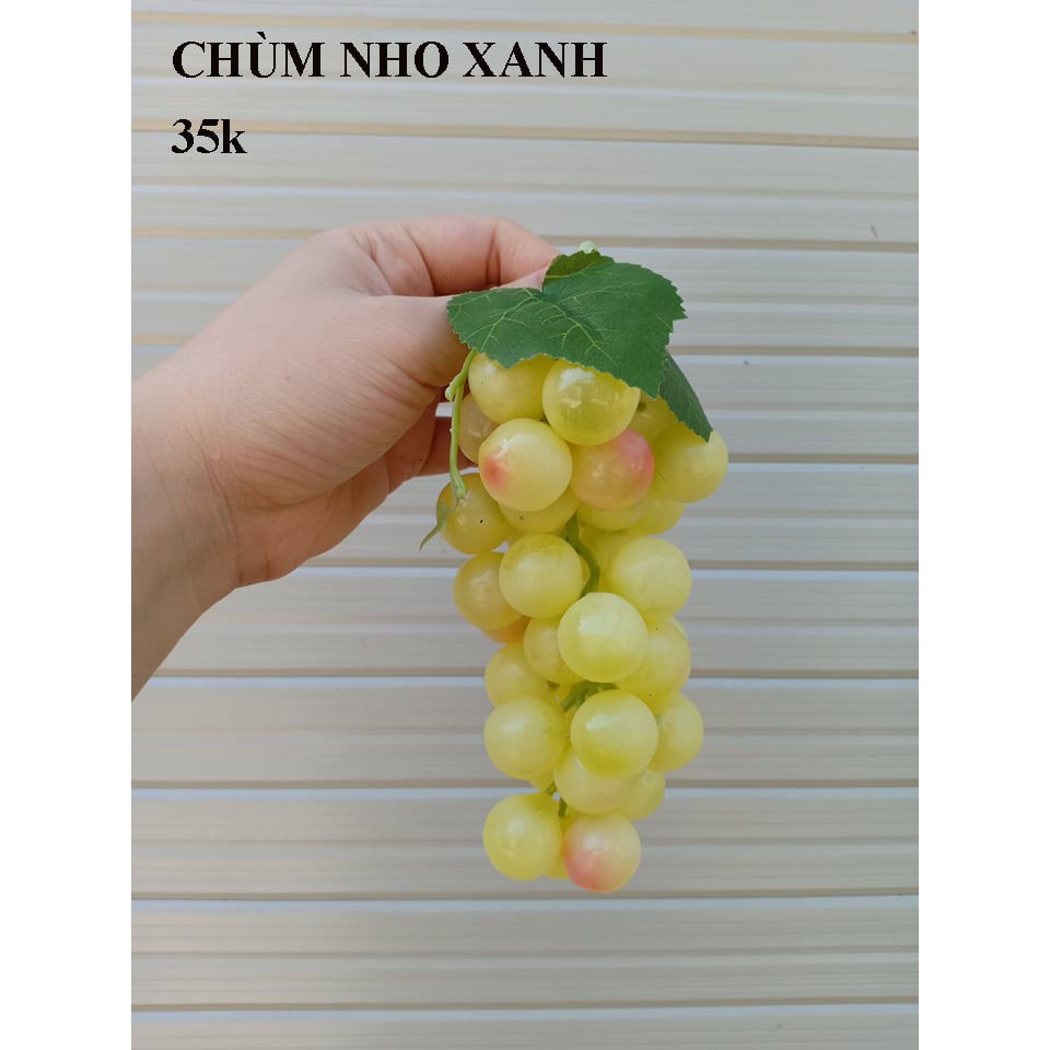 Hoa quả giả -Phụ kiện chụp hình