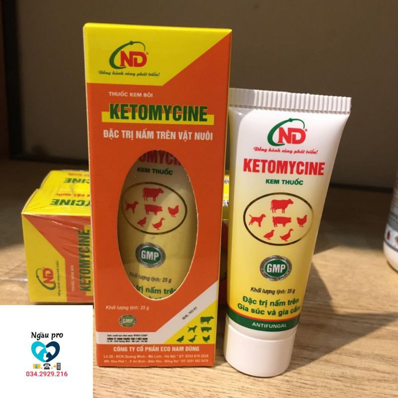 [Mã 253FMCGSALE giảm 8% đơn 500K] Thuốc bôi trị nấm, viêm da ghẻ chó mèo KETOMYCINE tuýp 25gr