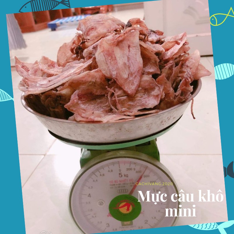 Mực Câu Mini Mới Về Trắng Thơm Ngọt -100gr khoảng 20/23 con- Làm Quà Biếu, Ăn Vặt, Chế Biến Chiên-Nướng-Rim Me