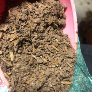 1kg Đất Dinh Dưỡng Trồng Cây