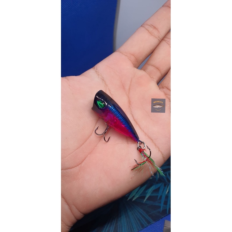 Mồi giả câu cá lure Popper nobeyy B1 săn cá Chét, Măng, Chẽm 4,5cm/6G
