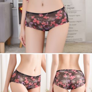 Com bo 10 quần su lạnh tàng hình