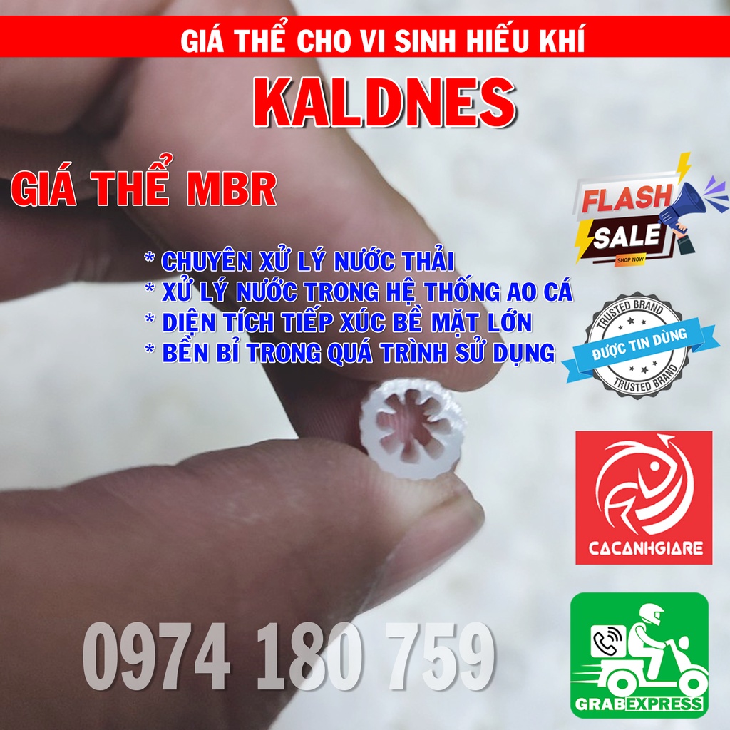 HẠT KALDNESS - Gíá Thể Vi Sinh Xử Lý Nước