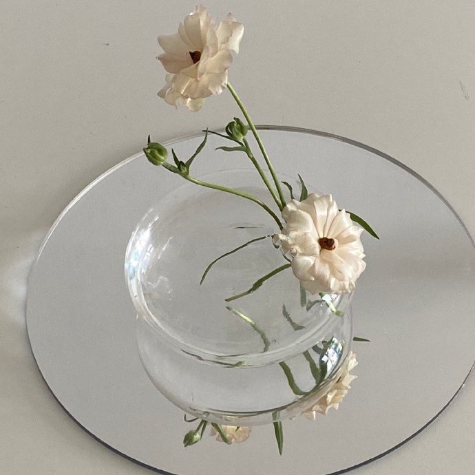 Bình hoa nhỏ hình bong bóng dẹt trong suốt