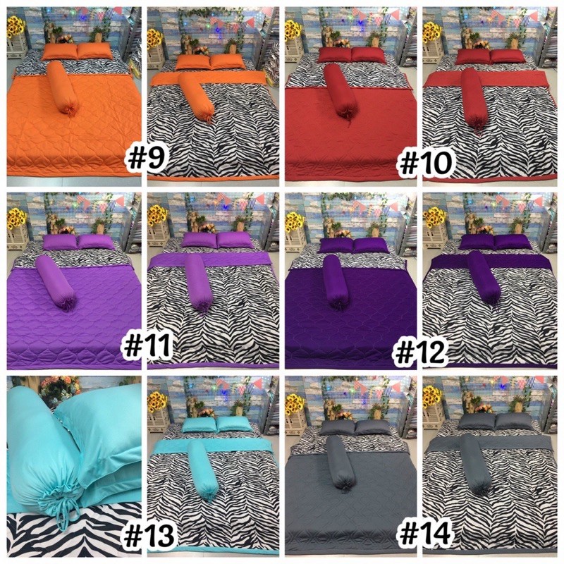 Bộ Drap Thun Vằn phối màu