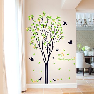 Decal dán tường cây xanh trái
