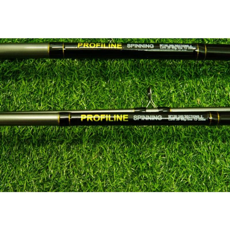 Cần câu profiline spining