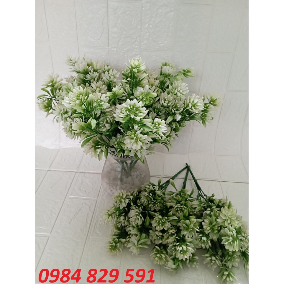 Cụm điểm hoa bưởi