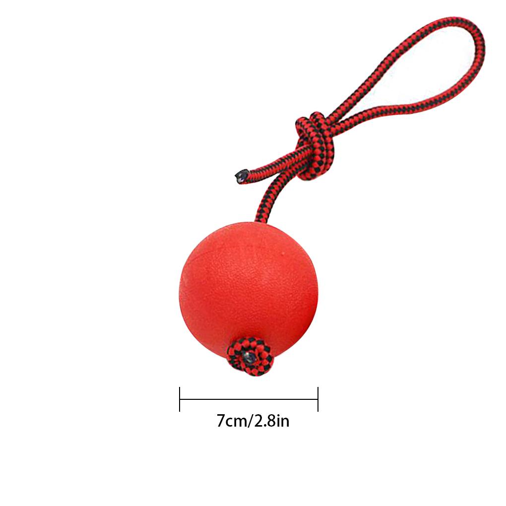 Bóng Cao Su Đồ Chơi Huấn Luyện Thú Cưng