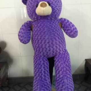 Gấu bông teddy