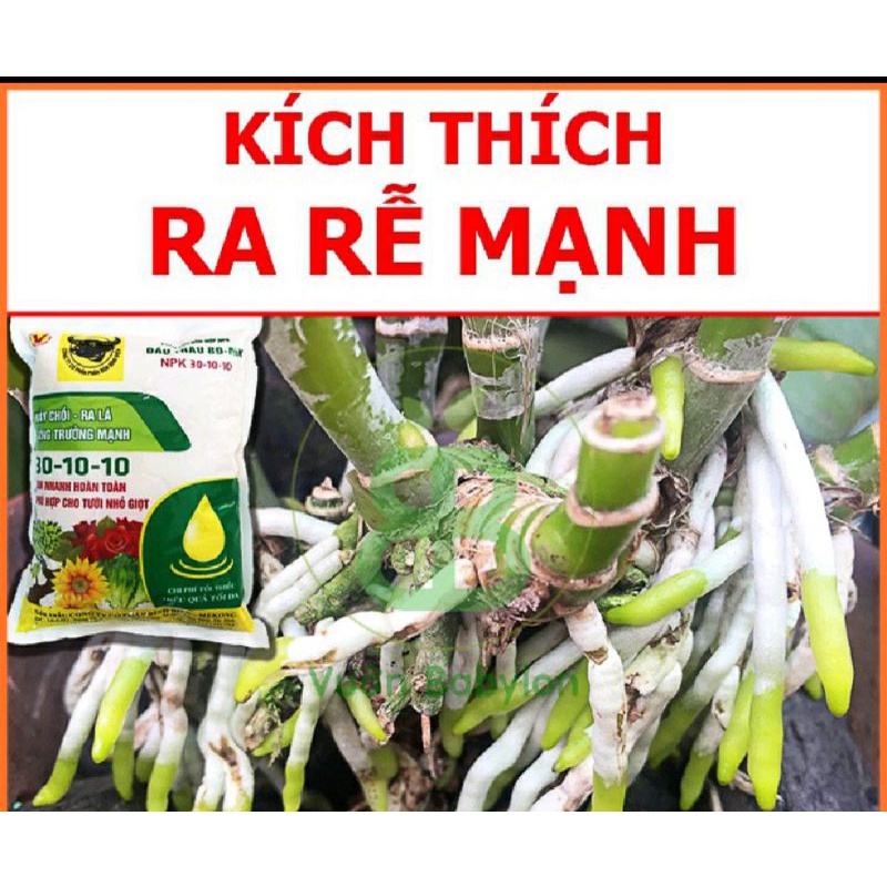 1KG Phân NPK 30-10-10 Đầu Trâu Ra Lá Chồi Hoa