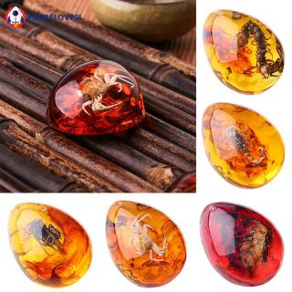 Dây Chuyền Mặt Đá Hổ Phách 5 Màu