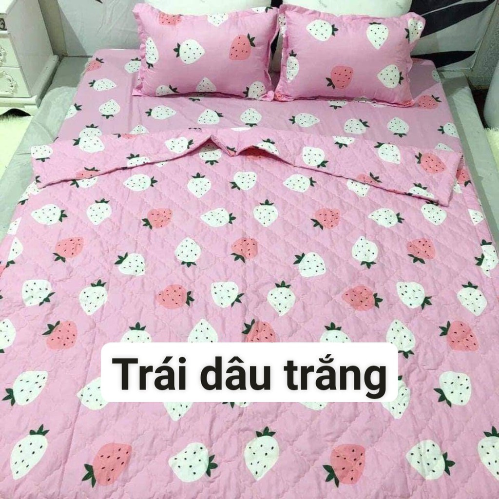 Bộ 4 Món   Ga Gối  Gam Màu Trầm Ấm Đa Dạng Mẫu