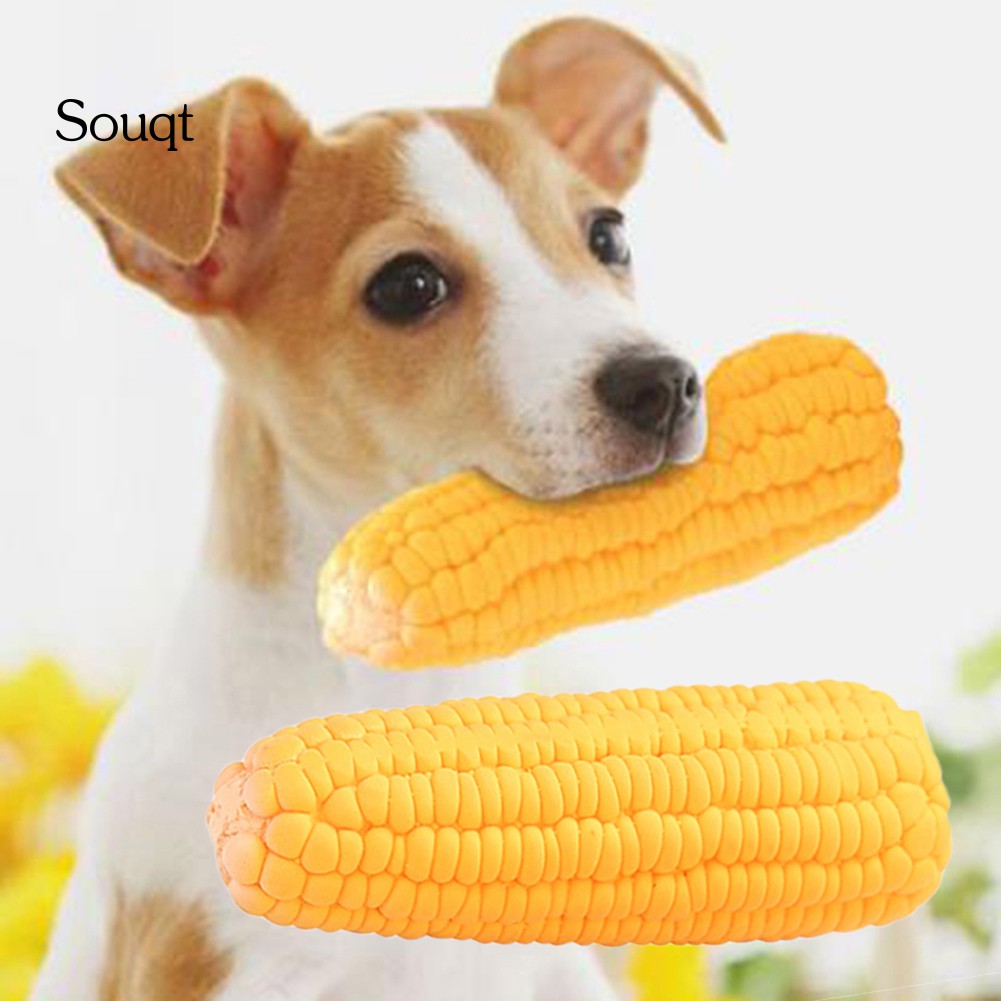Đồ Chơi Tập Nhai Hình Bắp Ngô Cho Thú Cưng