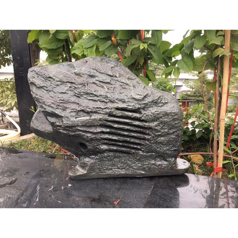 Loa giả đá sân vườn DSP 644