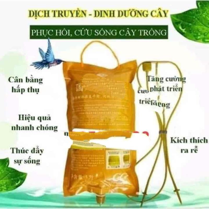 truyền dịch cho cây túi 1.5lit