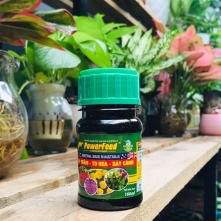 Phân Cá PowerFeed Siêu Đẻ Nhánh, KHÔNG HÔI 100ml