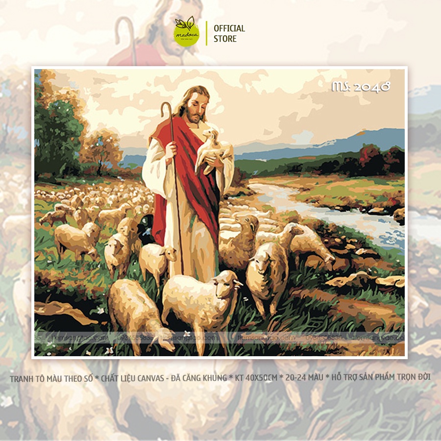 Tranh tô màu số hóa Madoca có khung 40x50cm Chúa Jesus và đàn cừu T2048