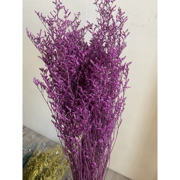 Bó Hoa Sao Đuôi Công Khô, Sao Tình Nhân, Sao Khô Hàng Loại 1