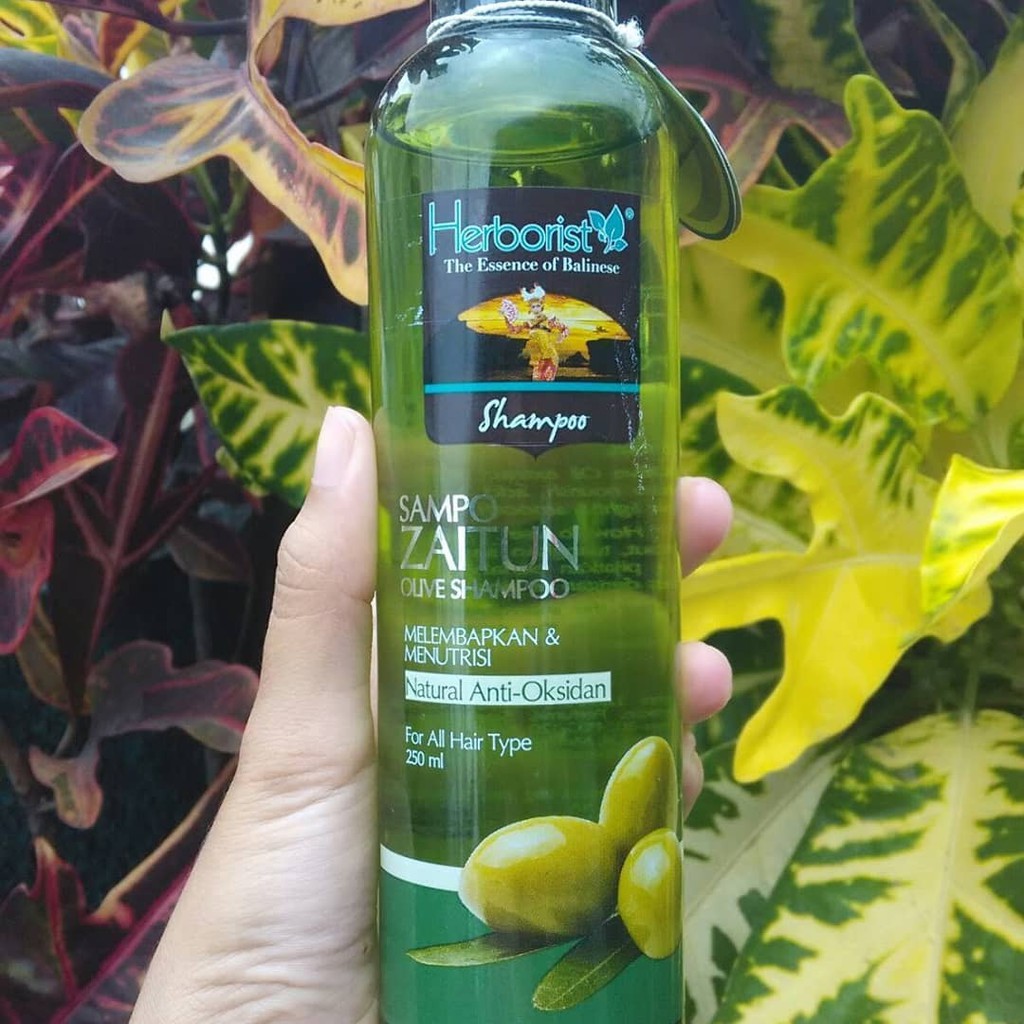 (hàng Mới Về) Dầu Gội Đầu Olive 250ml