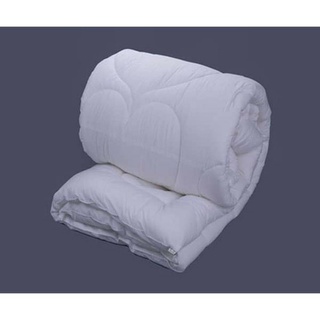 Ruột chăn đông hanvico tcm 200*220