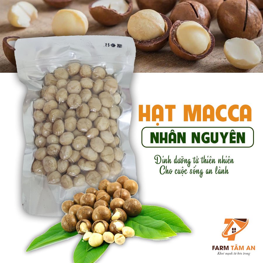 Hạt macca nhân sấy lạnh farm tâm an, hạt mắc ca organic cao cấp - ảnh sản phẩm 2