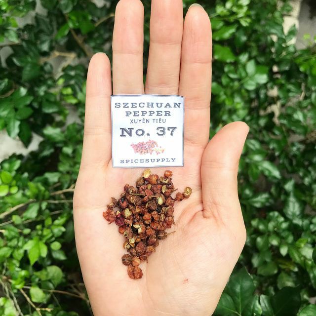 Szechuan Pepper - hạt Hoa tiêu Tứ Xuyên Hũ 120ml